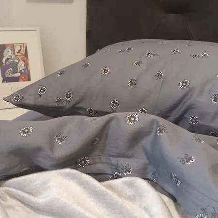 Sandra - Free Private Parking And Garden