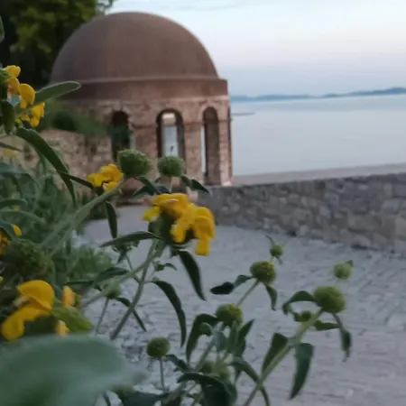 Apartment Sandra -private Parking And Garden Zadar